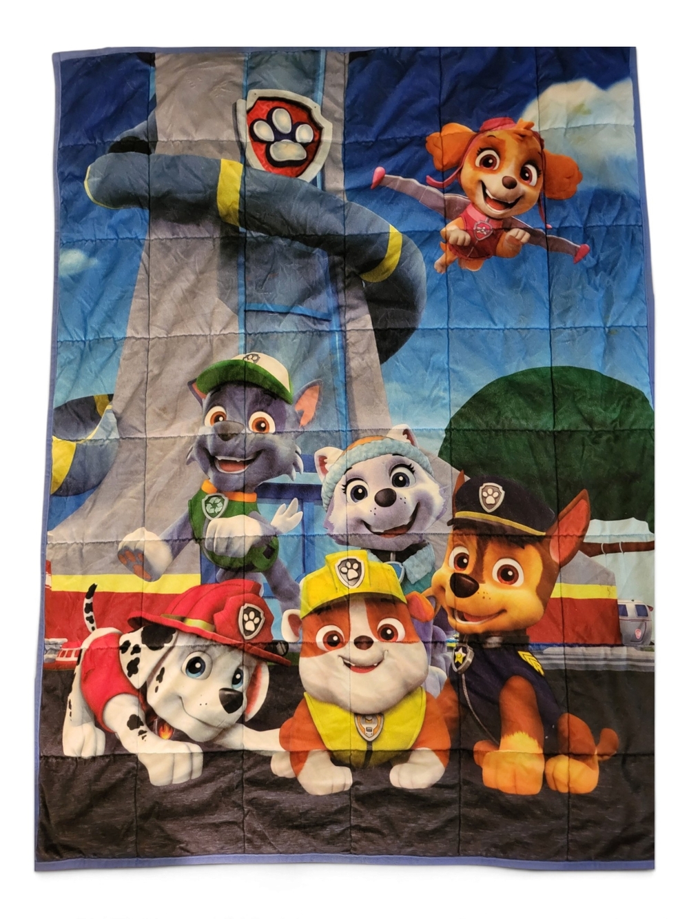 PAW Patrol Kids Weighted Blanket 36x48 4.5lb Chase Skye Rubble Everest Rocky